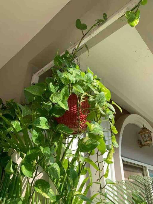 Furnished Villa Near Airport, Away From City Bhopal Buitenkant foto